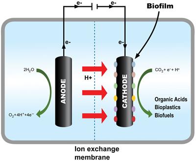 Role of microbial electrosynthesis system in CO2 capture and conversion: a recent advancement toward cathode development